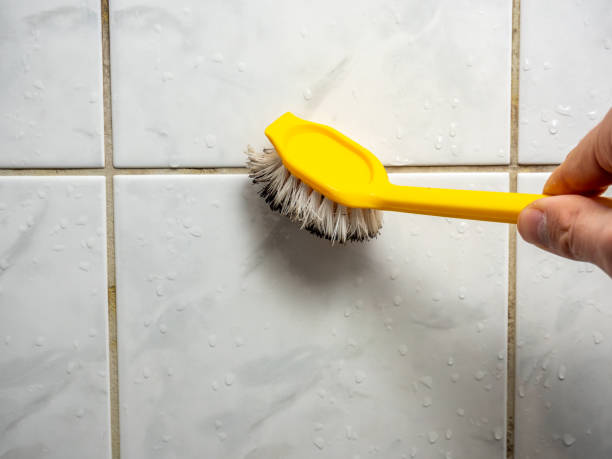 Best Mold Removal Near Me  in Chackbay, LA
