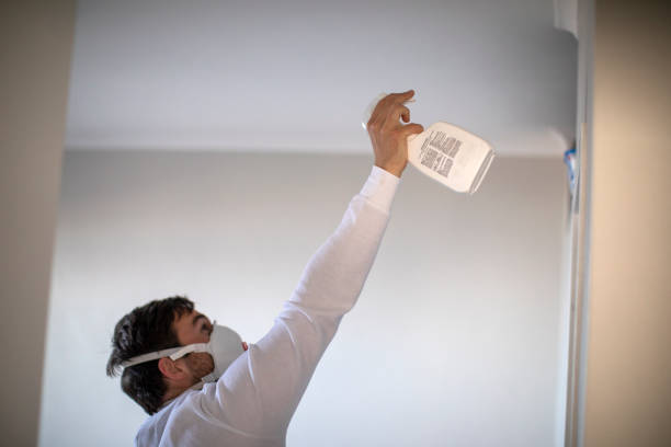 Best Crawl Space Mold Removal  in Chackbay, LA