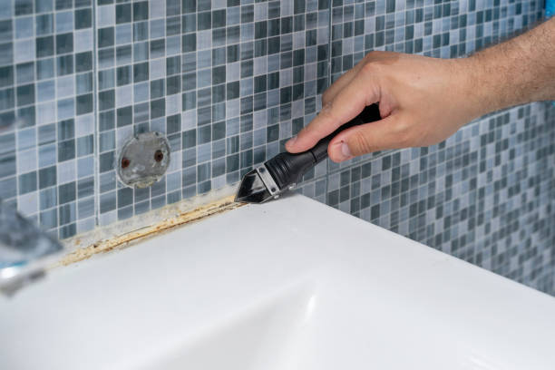 Best Commercial Mold Removal  in Chackbay, LA